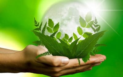 Corso: Introduzione alla Sostenibilità