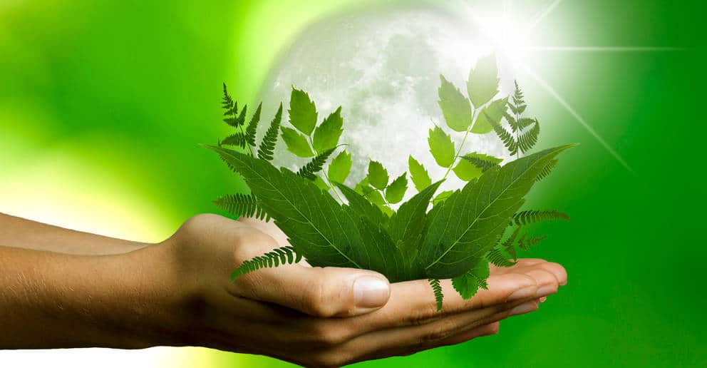 Corso: Introduzione alla Sostenibilità